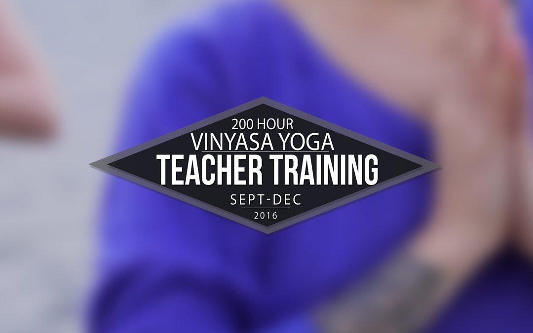 Teacher Training Promo Video